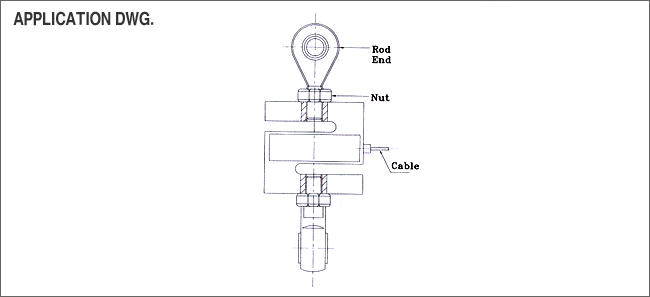 YL-31